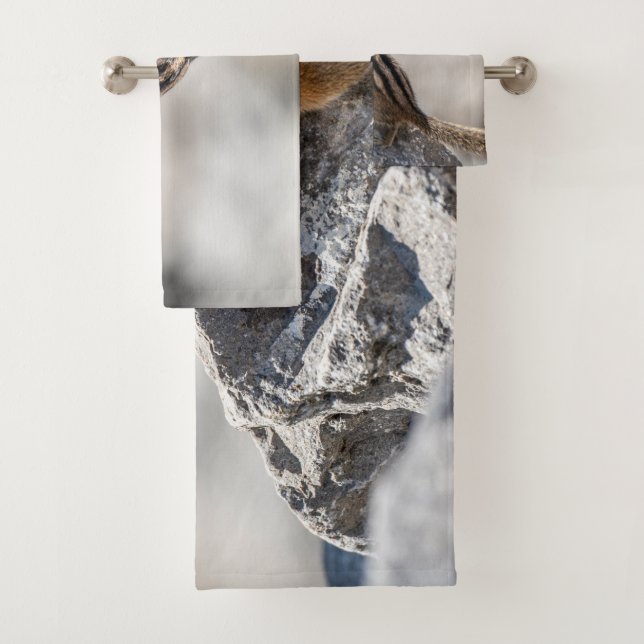 Photographie de faune sauvage de Tamia brun (En situation)