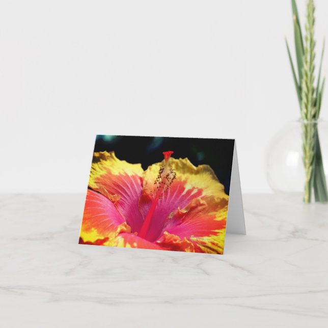 Photographie de fleur d'hibiscus jaune  (Devant)