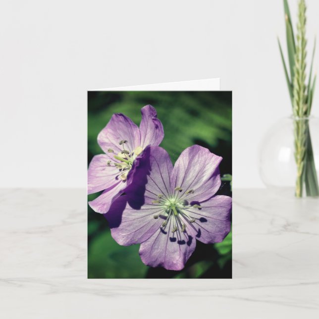 Photographie de fleurs de géranium jumelles lavand (Devant)