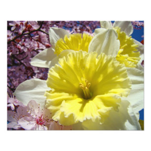 Photographie de fleurs de jonquilles, impressions