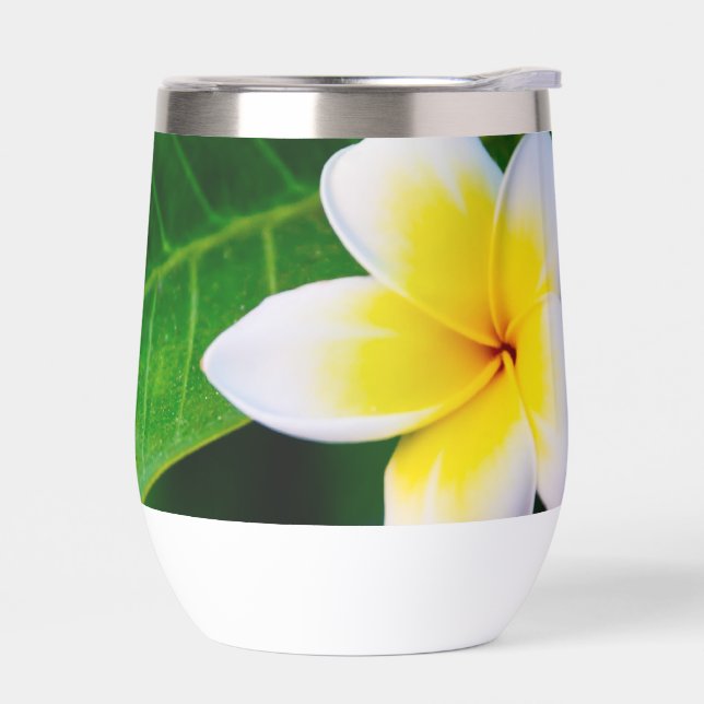 Photographie de fleurs de plumeria (Gauche)