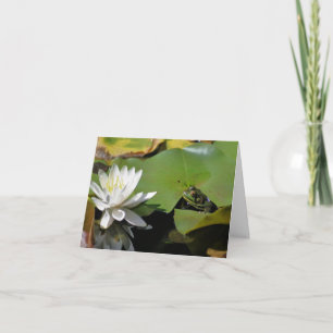 Photographie de grenouille et de nénuphar fleur de