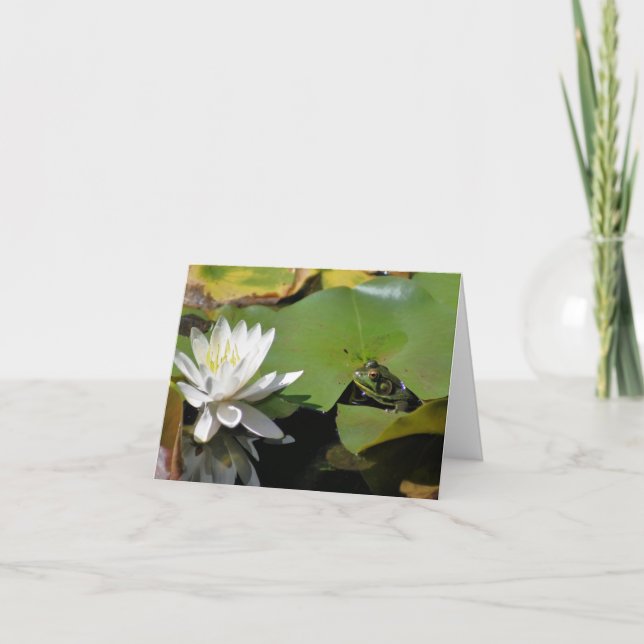 Photographie de grenouille et de nénuphar fleur de (Devant)
