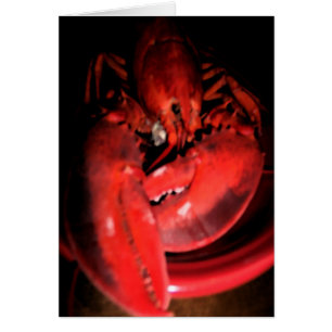 Photographie de homard