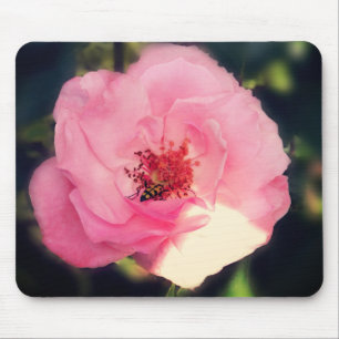 Photographie de jolie rose sur tapis de souris