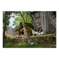 Photographie de la ferme d'oies de foie gras tradi