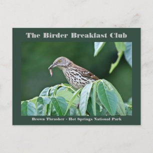 Photographie de la nature Carte d'oiseau Brown Thr