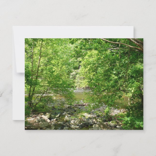 Photographie de la nature dans le Maryland, vue su (Devant)