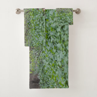 Photographie de la nature du sol de la forêt des C