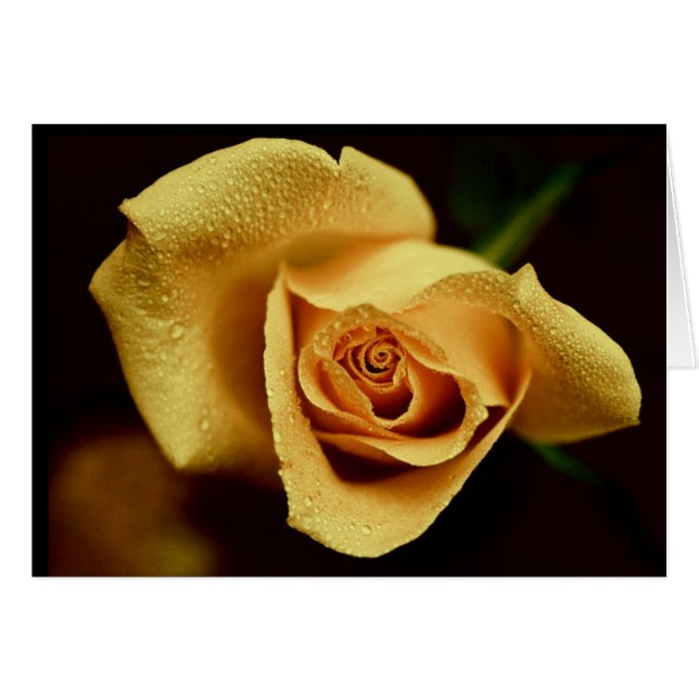 Photographie de nature (Devant horizontal)