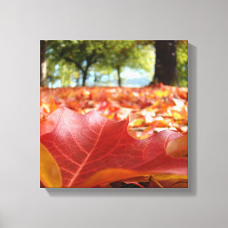 Photographie de nature Panneaux de toile Feuilles