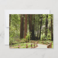Photographie de nature sur le sentier I de Muir Wo