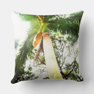 Photographie de palmier royal sur un oreiller