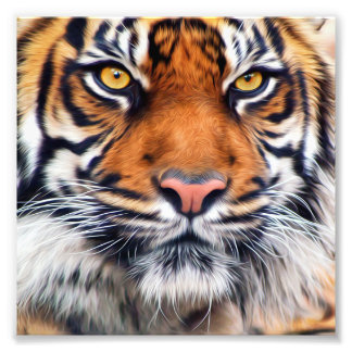 Photographie de Peinture de tigre de Sibérie