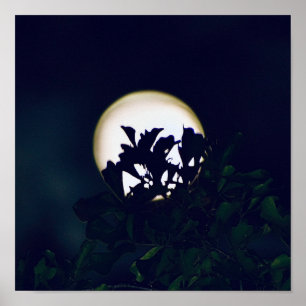 Photographie de Pleine lune Impression de l'affich