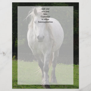 Photographie de poney mignon