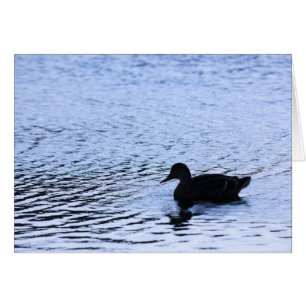 Photographie de rides d'eau du lac de faune de can