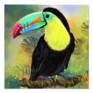 Photographie d'oiseau tropical Toco Toucan - Peint