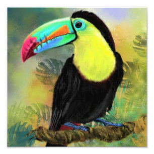 Photographie d'oiseau tropical Toco Toucan - Peint