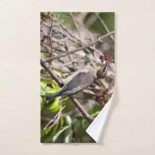 Photographie d'oiseaux, cire de Bohême