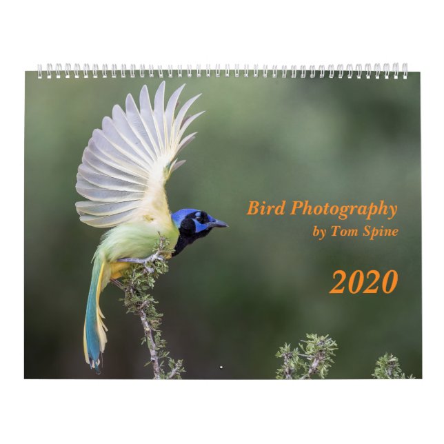 Photographie d'oiseaux par Tom Spine, Calendrier 2 (Protection)