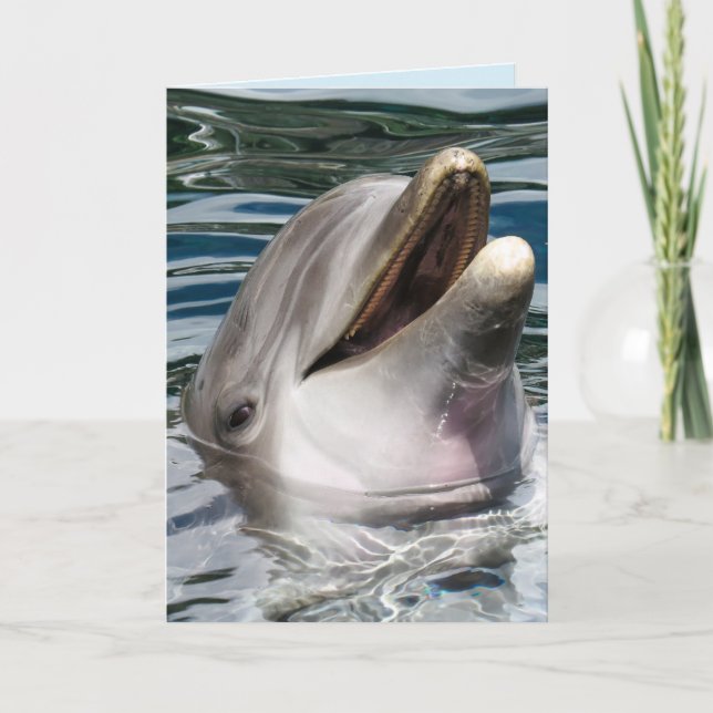 PHOTOGRAPHIE DOLPHIN SOURIRE CARTE D'ANNIVERSAIRE (Devant)