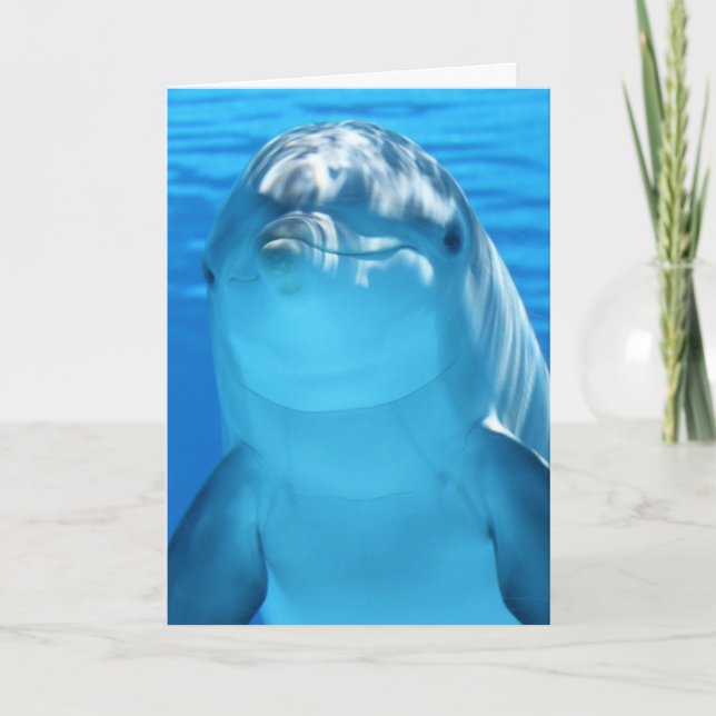 PHOTOGRAPHIE DOLPHINE CARTE D'ANNIVERSAIRE (Devant)