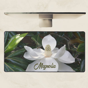 Photographie florale en fleurs de Magnolia blanc