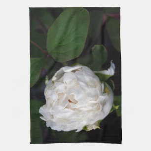 Photographie florale Peony blanc - Serviettes de c
