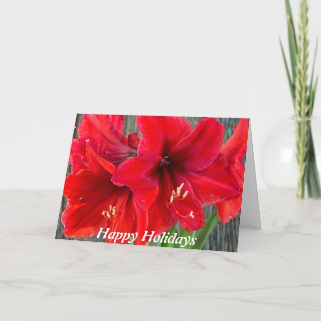 Photographie rouge d'amaryllis sur la carte de (Devant)