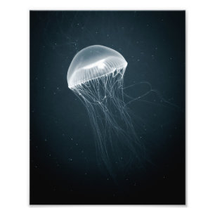 Photographie sous-marine rougeoyante des méduses 