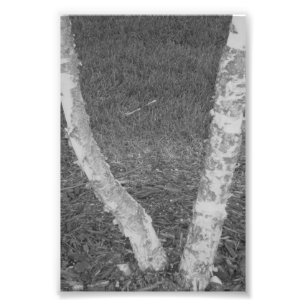 Photographie V3 4x6 noir et blanc de lettre