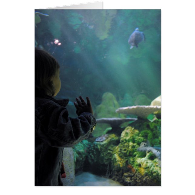 Photographie Wonder & Reflection (Devant)