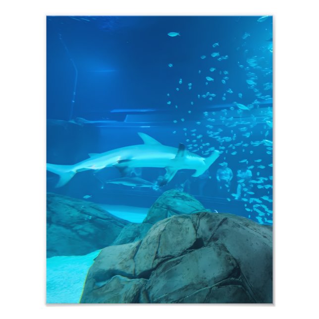 Photographie #Y044 sur une affiche de TAILLE MOYEN (Devant)