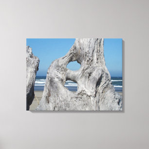 Photographies de la toile de bois flotté sur le li