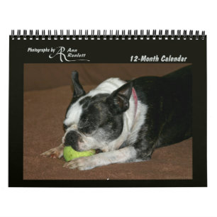 Photos d'animaux - Calendrier de 12 mois