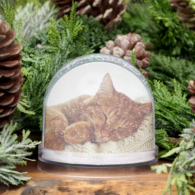 Photos de chat personnalisées Keepsaké Snow Globe (Hiver)