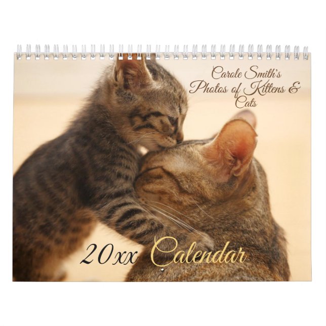 Photos de Chats & Chatons Calendrier 20XX (Protection)