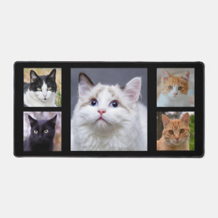Photos de chats personnalisés sur fond noir