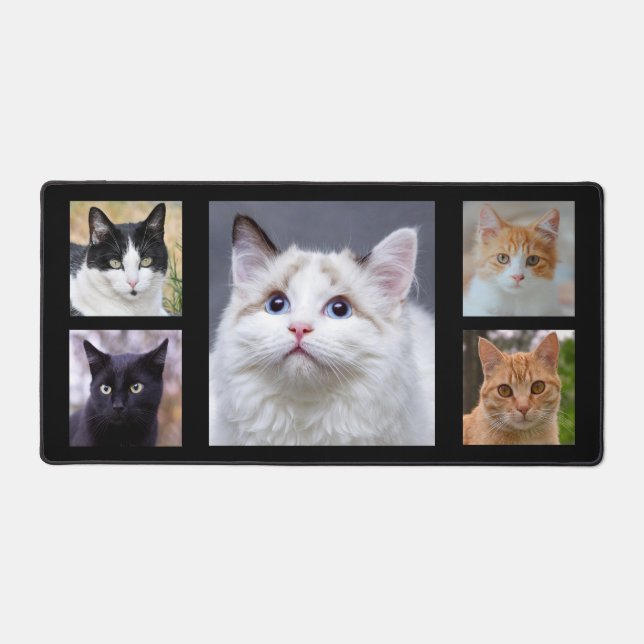 Photos de chats personnalisés sur fond noir (Recto)