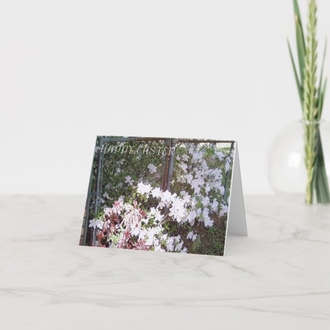 Photos de MClairArt N Art Cartes pour notes de Pâq (Devant)