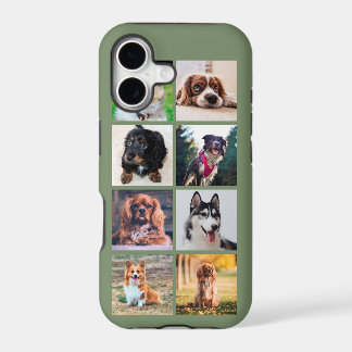 Photos Instagram de chiots chiens