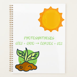 Photosynthèse