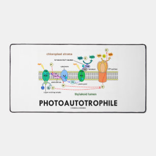 Photosynthèse autotrophile
