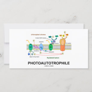 Photosynthèse autotrophile