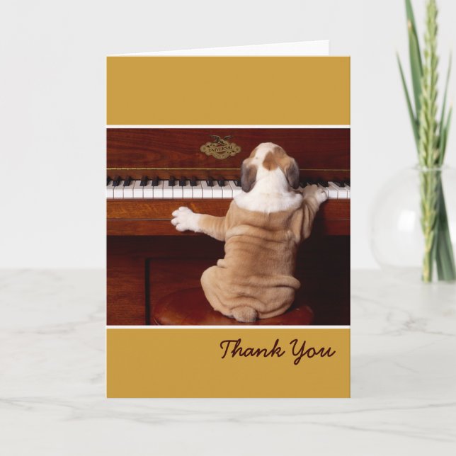 Pianiste chiot Merci (Devant)