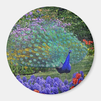 Pic dans les fleurs de printemps #2 Magnet
