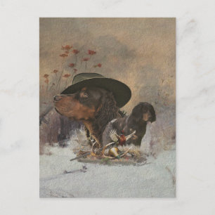 Picardy Spaniel, Carte postale de la saison de cha