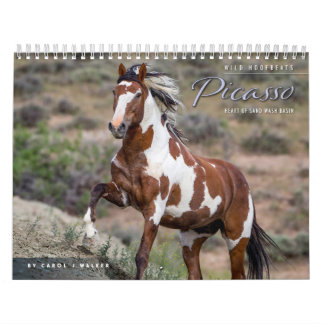 Picasso : Calendrier du bassin du coeur du sable