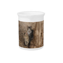 CHATS DE CAMPAGNE POUR LES AMATEURS DE NATURE